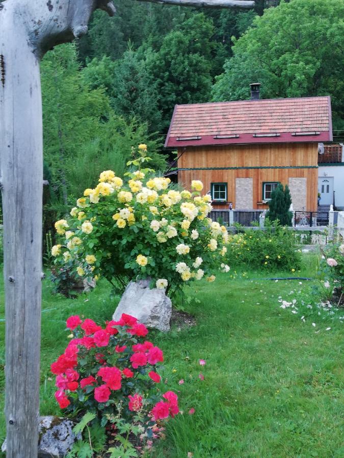 Georges Rast Villa Altaussee Exterior foto