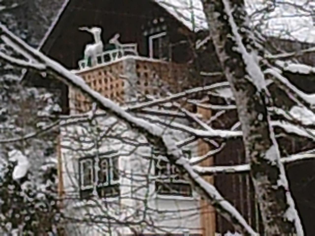 Georges Rast Villa Altaussee Exterior foto