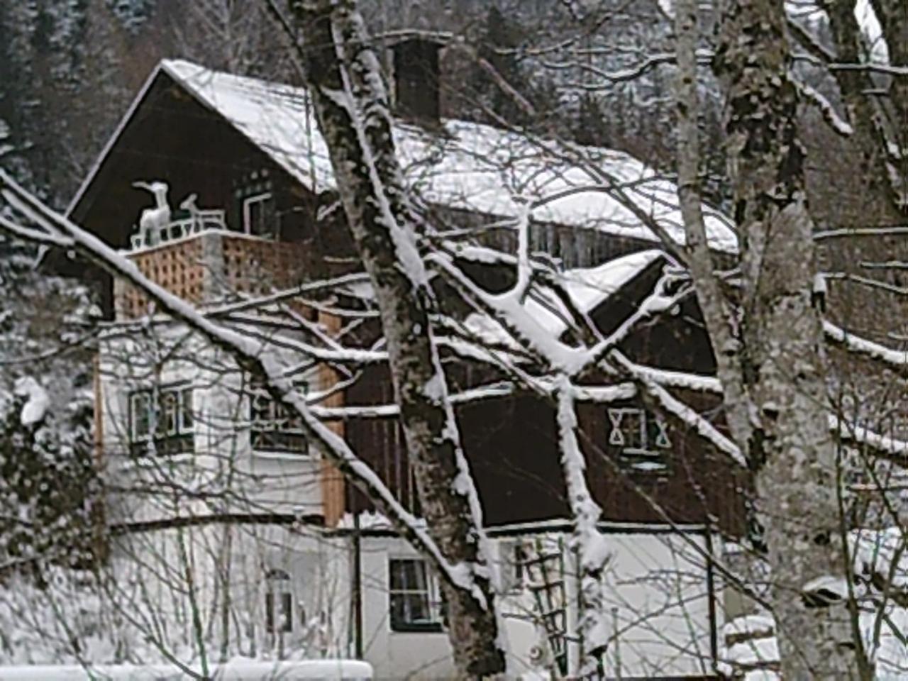 Georges Rast Villa Altaussee Exterior foto