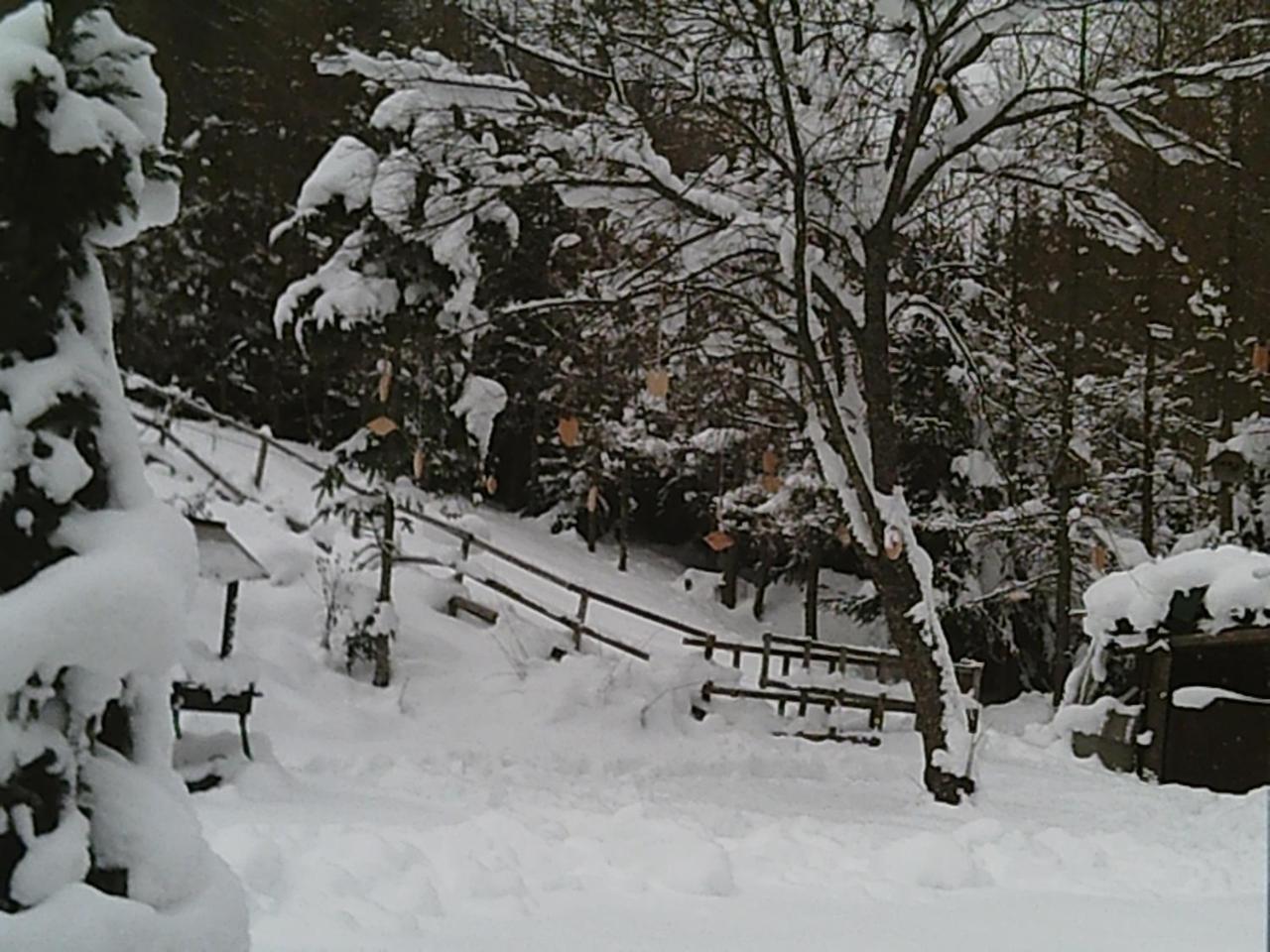 Georges Rast Villa Altaussee Exterior foto