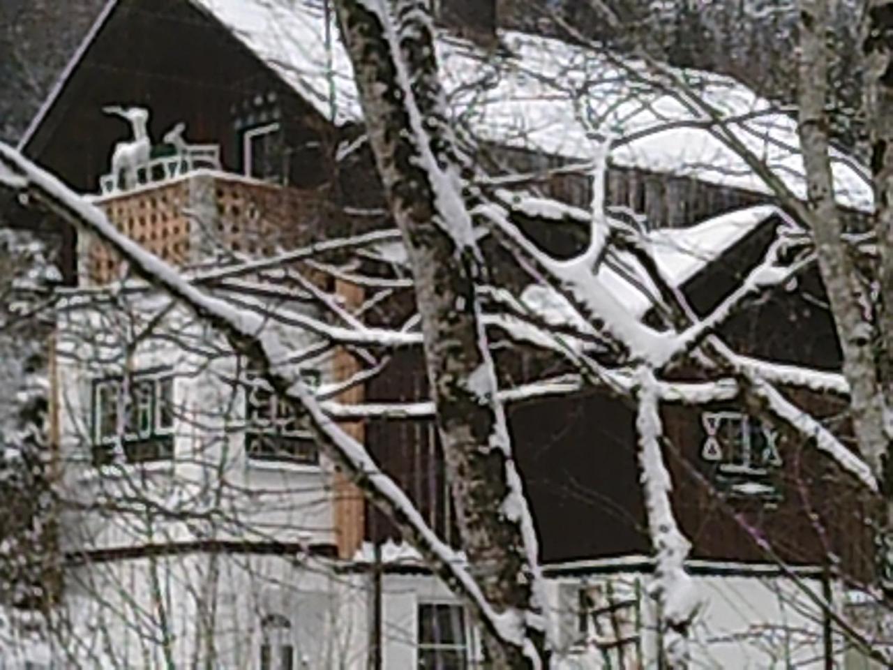Georges Rast Villa Altaussee Exterior foto